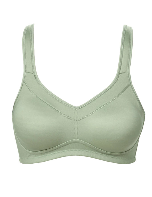 10278_8100_front_001