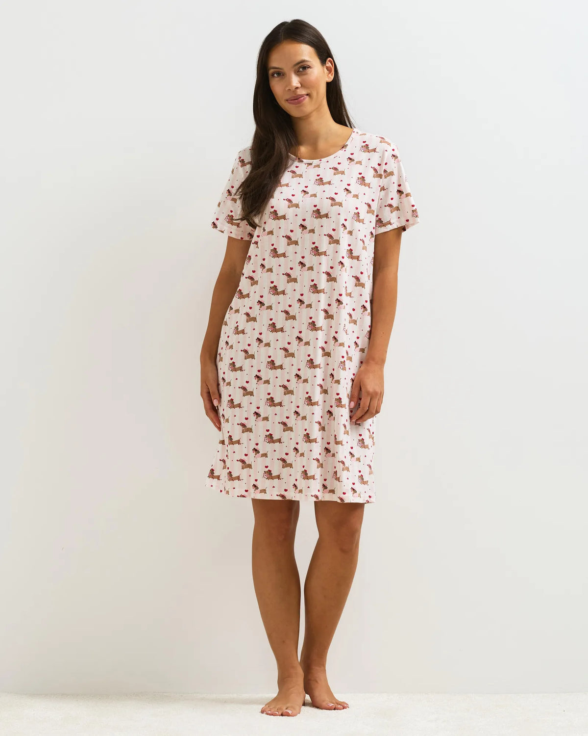 66228_4500_modell_1083